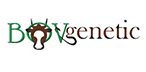 BovGenetic